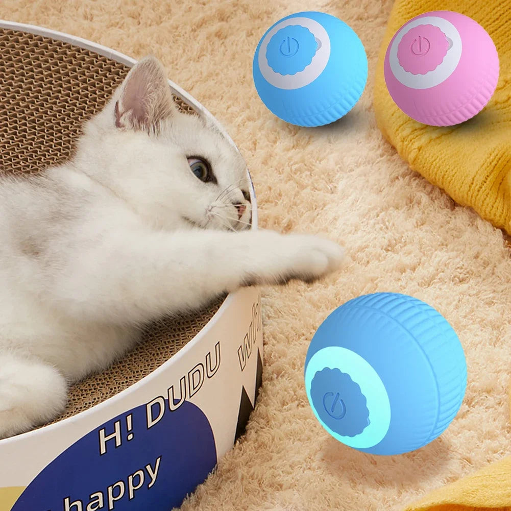 Interactive LED Pet Ball