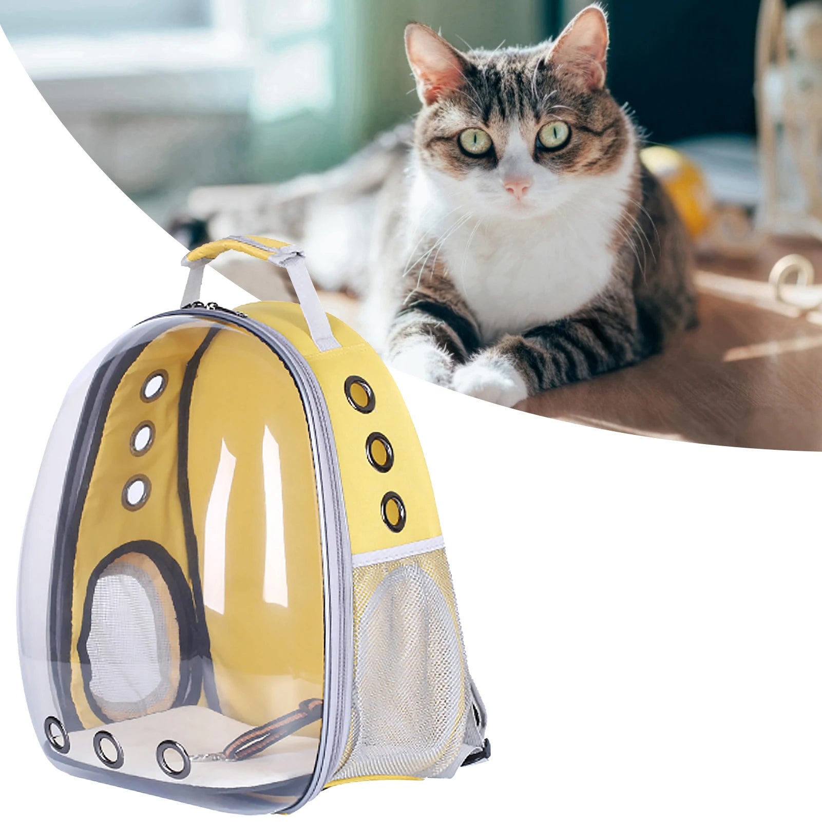 Pet Travel Pod