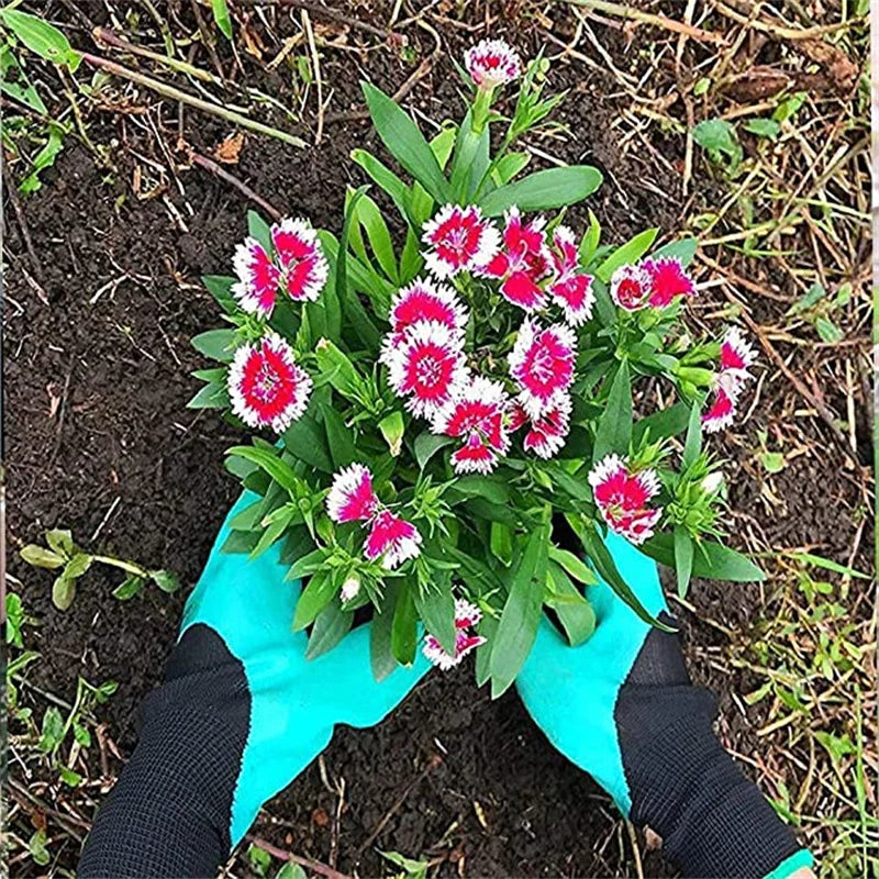 Clawed Gardening Gloves