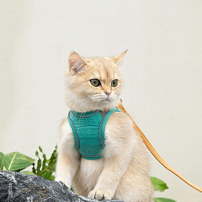 Escape-Proof Cat Harness